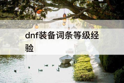 dnf装备词条等级经验