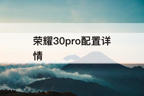 荣耀30pro配置详情