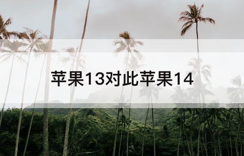 苹果13对此苹果14