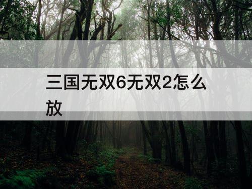 三国无双6无双2怎么放