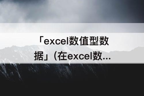 「excel数值型数据」(在excel数值型数据其默认水平对齐方式为右对齐)