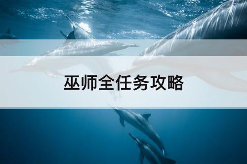 巫师全任务攻略