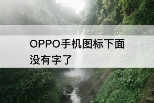 OPPO手机图标下面没有字了