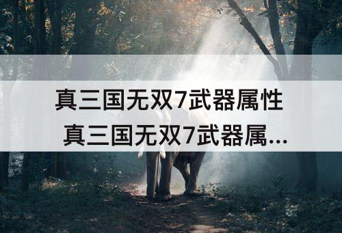 真三国无双7武器属性 真三国无双7武器属性暴风怎么获得