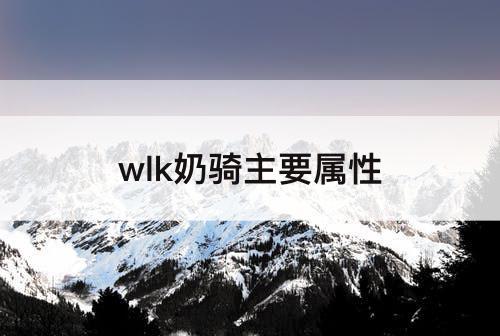 wlk奶骑主要属性