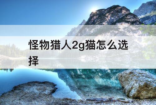 怪物猎人2g猫怎么选择