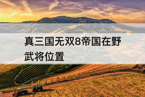 真三国无双8帝国在野武将位置