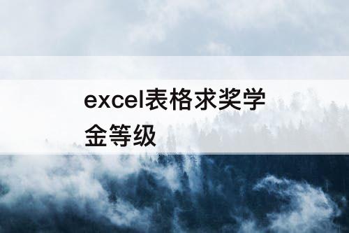 excel表格求奖学金等级