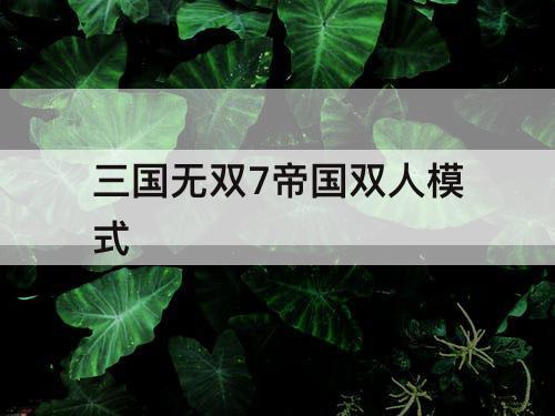 三国无双7帝国双人模式