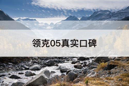 领克05真实口碑
