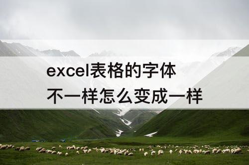 excel表格的字体不一样怎么变成一样