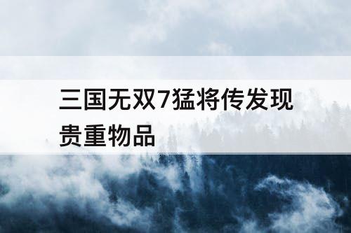 三国无双7猛将传发现贵重物品