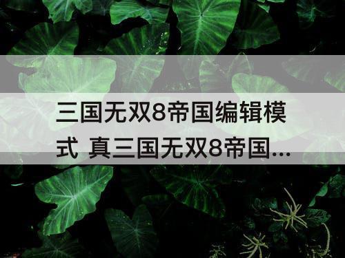三国无双8帝国编辑模式 真三国无双8帝国编辑模式删除键