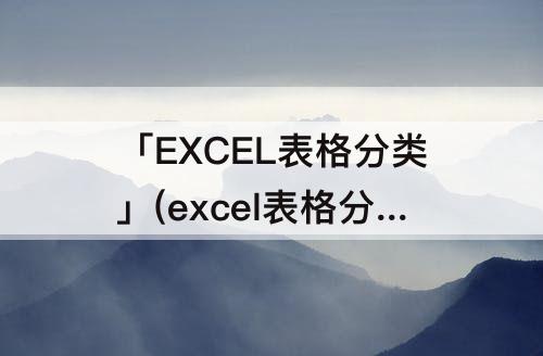 「EXCEL表格分类」(excel表格分类汇总怎么操作步骤)
