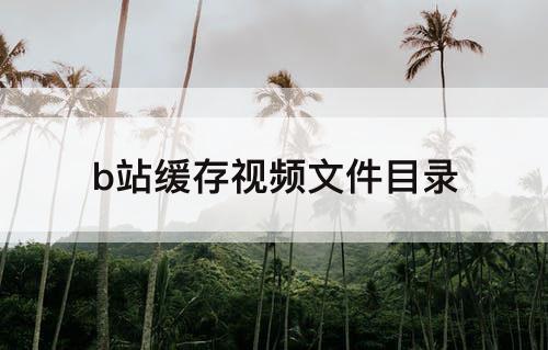 b站缓存视频文件目录