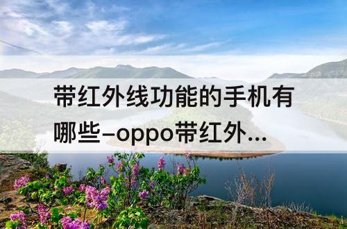 带红外线功能的手机有哪些-oppo带红外线功能的手机有哪些