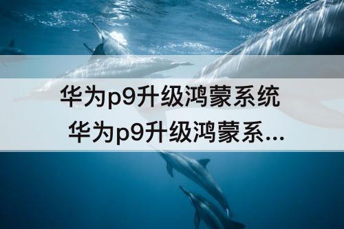华为p9升级鸿蒙系统 华为p9升级鸿蒙系统安装包