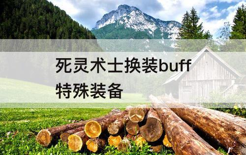 死灵术士换装buff特殊装备
