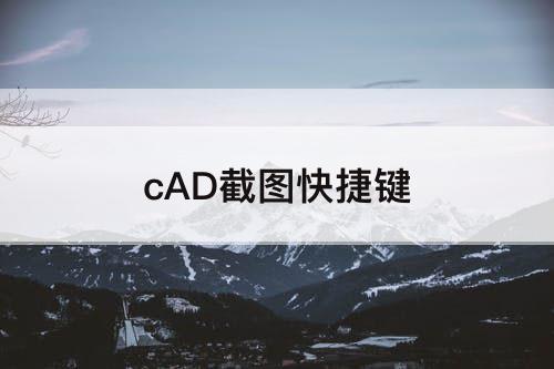 cAD截图快捷键