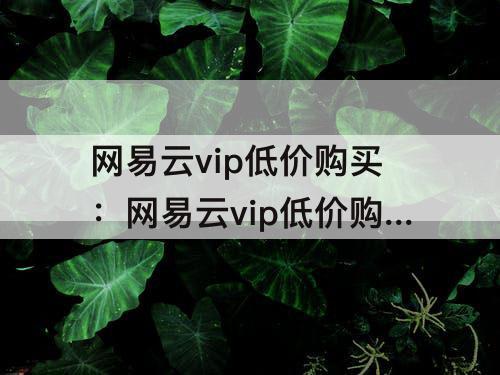 网易云vip低价购买：网易云vip低价购买网站