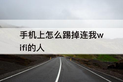 手机上怎么踢掉连我wifi的人