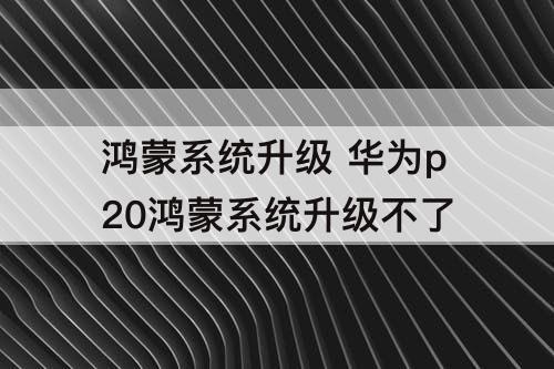鸿蒙系统升级 华为p20鸿蒙系统升级不了