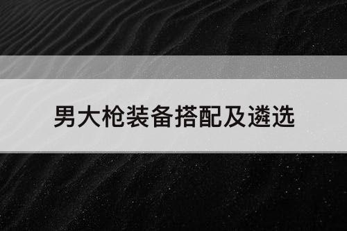 男大枪装备搭配及遴选