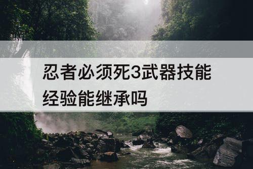 忍者必须死3武器技能经验能继承吗