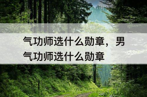 气功师选什么勋章，男气功师选什么勋章
