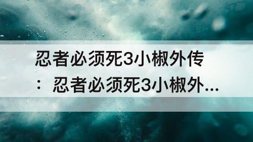 忍者必须死3小椒外传：忍者必须死3小椒外传第二关无伤