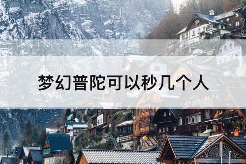 梦幻普陀可以秒几个人