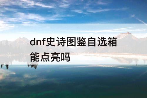 dnf史诗图鉴自选箱能点亮吗