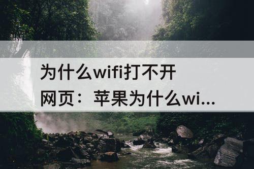 为什么wifi打不开网页：苹果为什么wifi打不开网页
