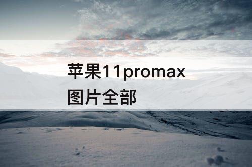 苹果11promax图片全部