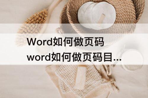 Word如何做页码 word如何做页码目录