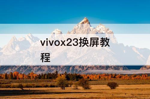 vivox23换屏教程