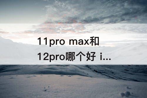 11pro max和12pro哪个好 iphone11pro max和12pro哪个好