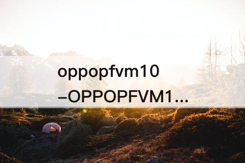 oppopfvm10-OPPOPFVM10是什么型号