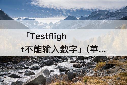 「Testflight不能输入数字」(苹果testflight不能输入数字)