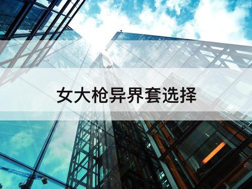 女大枪异界套选择