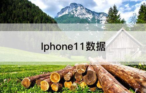 Iphone11数据