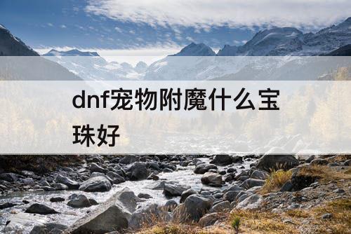 dnf宠物附魔什么宝珠好