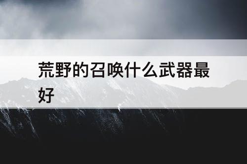 荒野的召唤什么武器最好