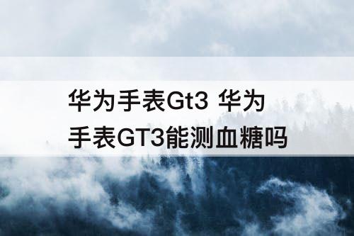 华为手表Gt3 华为手表GT3能测血糖吗