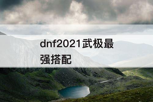 dnf2021武极最强搭配