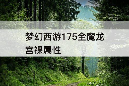 梦幻西游175全魔龙宫裸属性