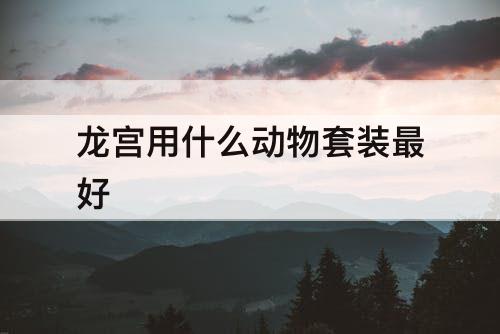龙宫用什么动物套装最好