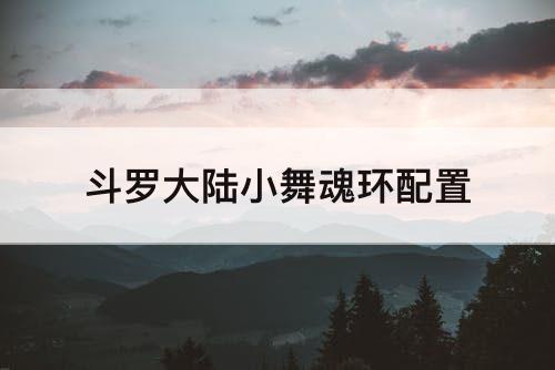 斗罗大陆小舞魂环配置