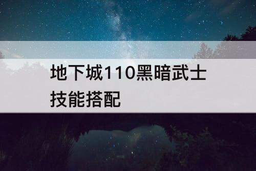 地下城110黑暗武士技能搭配