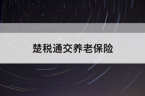 楚税通交养老保险